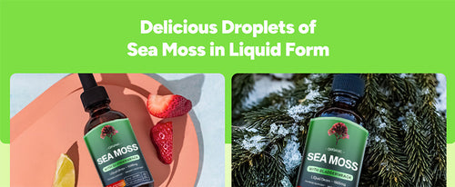 Load image into Gallery viewer, Sea Moss Liquid Drops | Irish Sea Moss Benefits for Health &amp; Wellness
